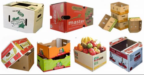 Hộp carton thực phẩm đa dạng kích thước và thiết kế để bảo quản sản phẩm an toàn.
